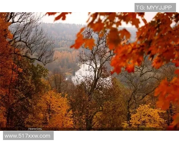 足球明星与秋天美景交融的绝美瞬间展现了运动与自然的和谐之美 足球明星与秋天美景交融的绝美瞬间展现了运动与自然的和谐之美